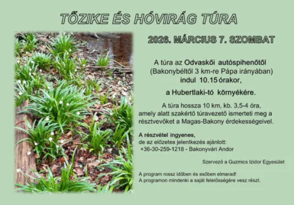 Tőzike és hóvirág túra